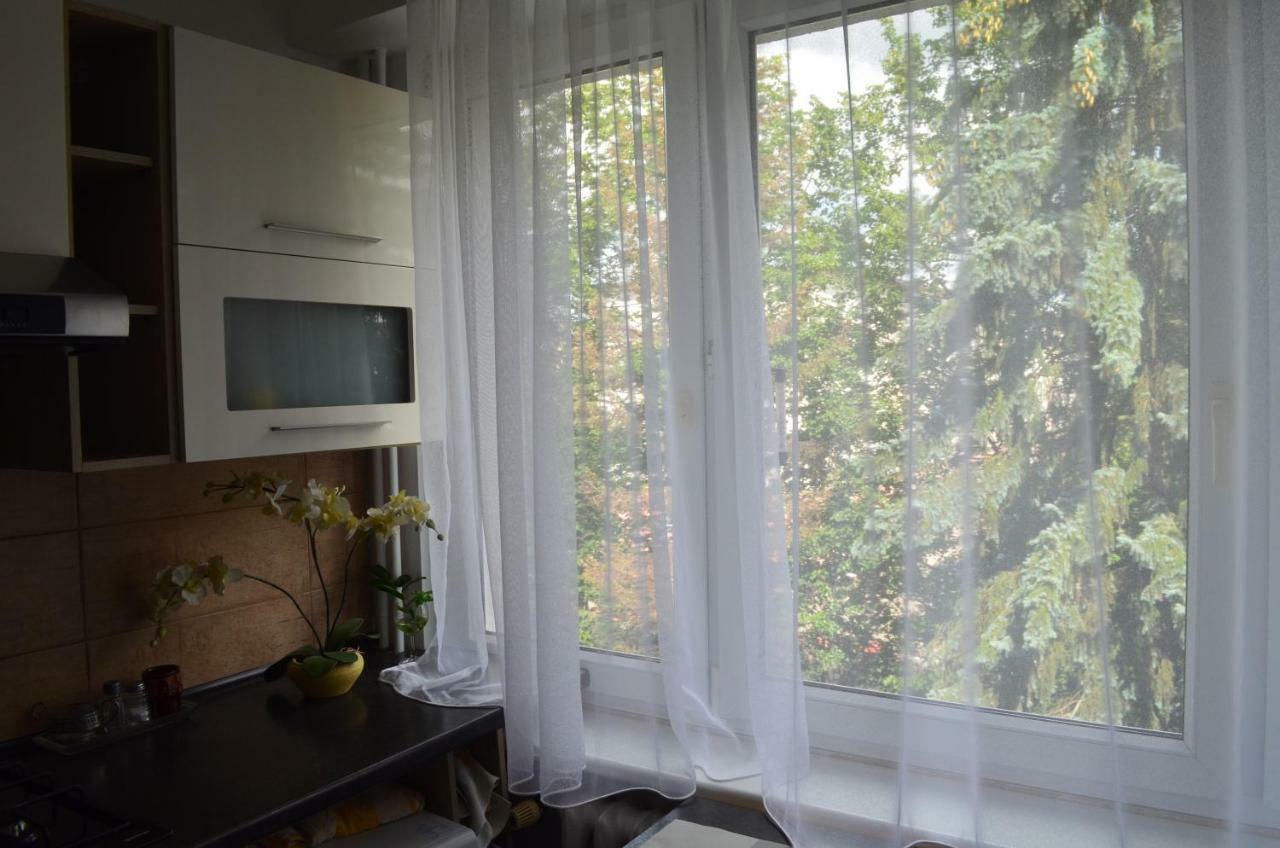 Apartament Telimena 奥尔什丁 外观 照片